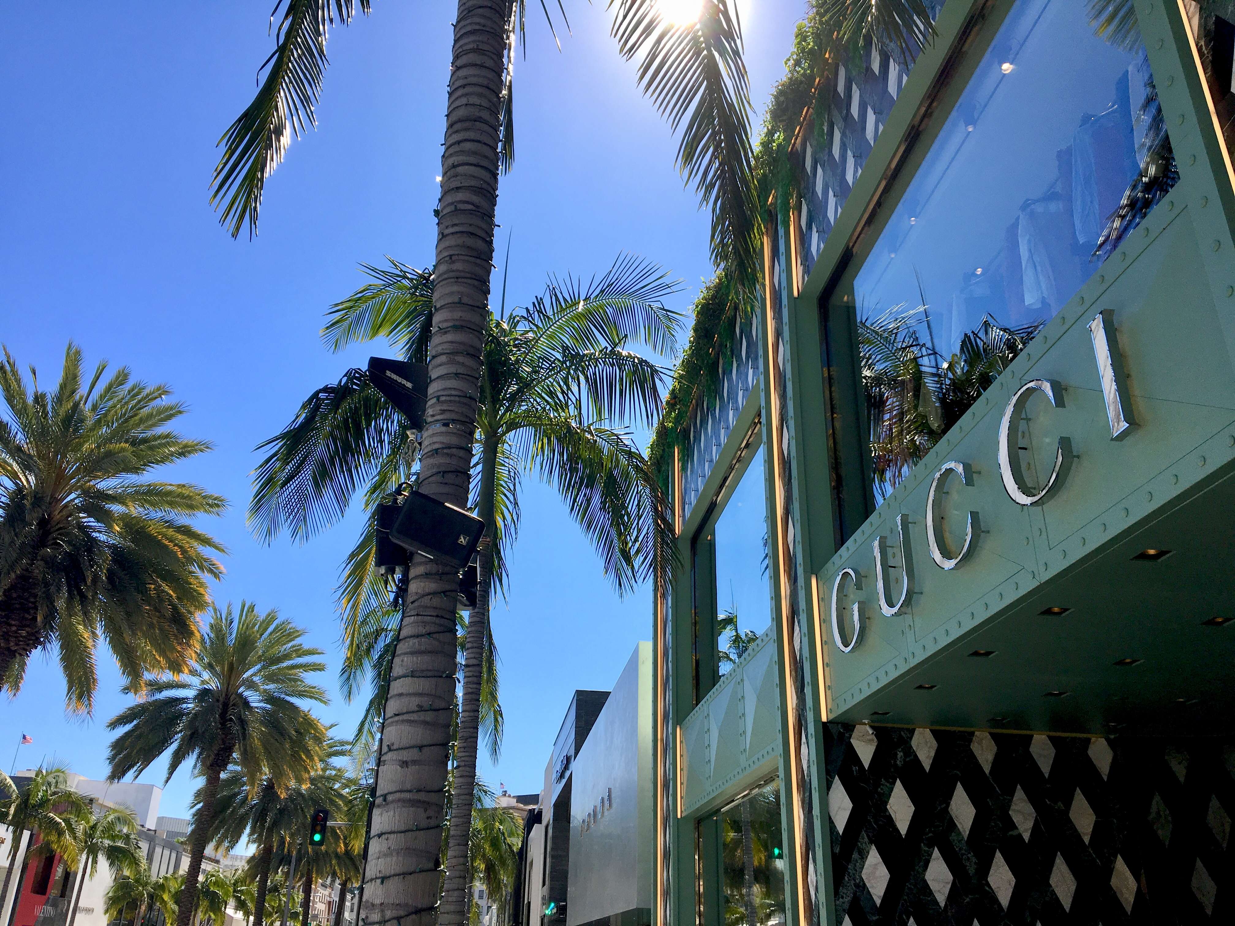 IMG 7656 - LA in a Day Tours