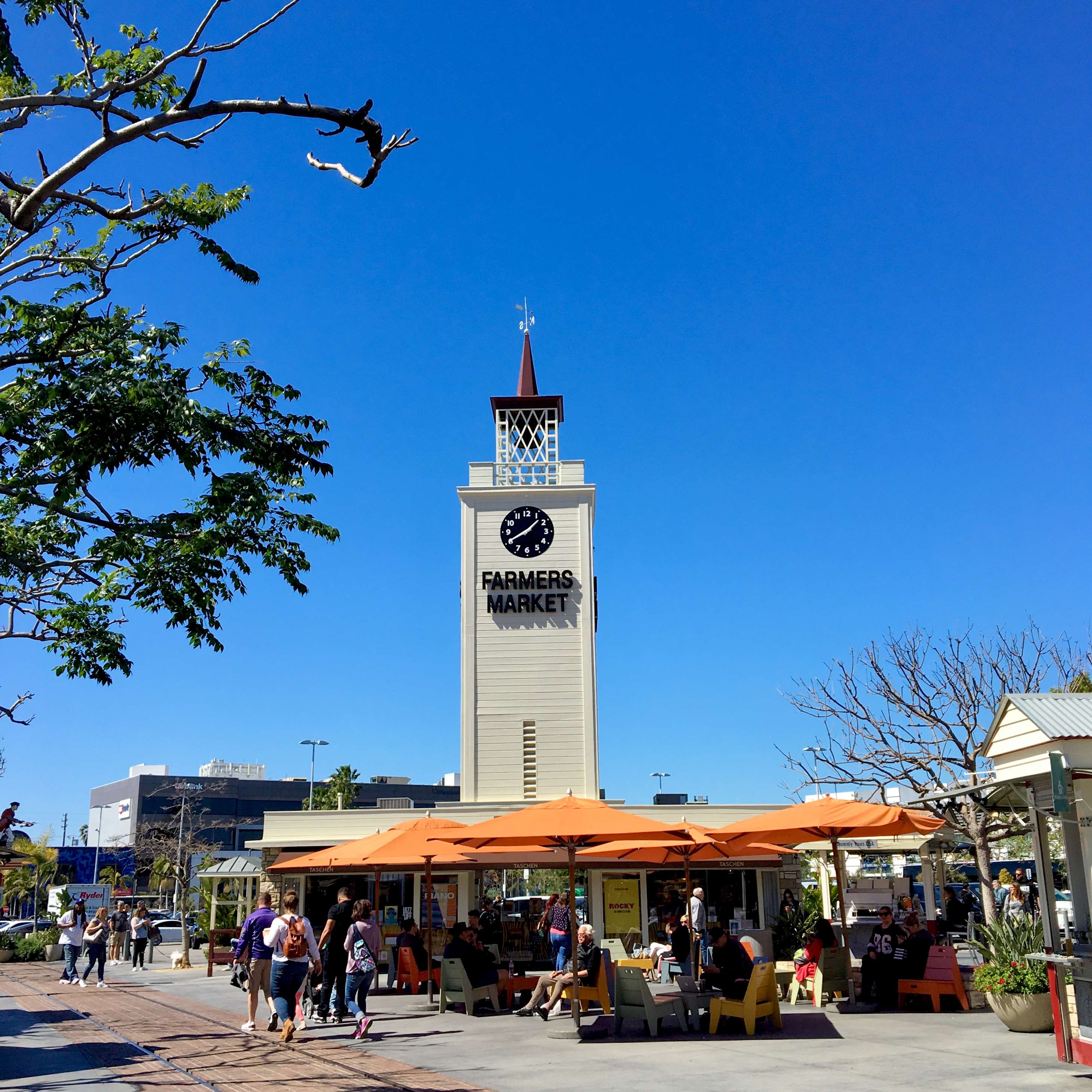 IMG 7820 - LA in a Day Tours